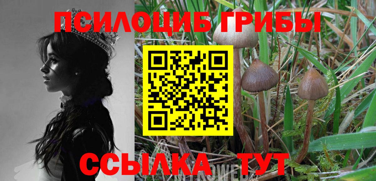 Камышин  Галлюциногенные грибы прущие грибы  Вход с VPN  Галлюциногенные грибы Magic Shrooms 